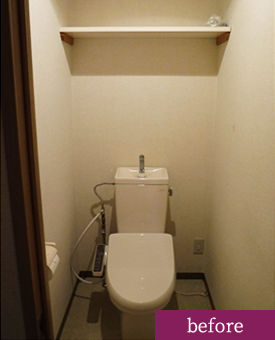 Toilet before